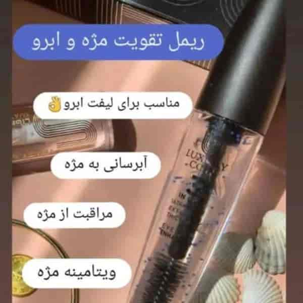 1707036539807.webp