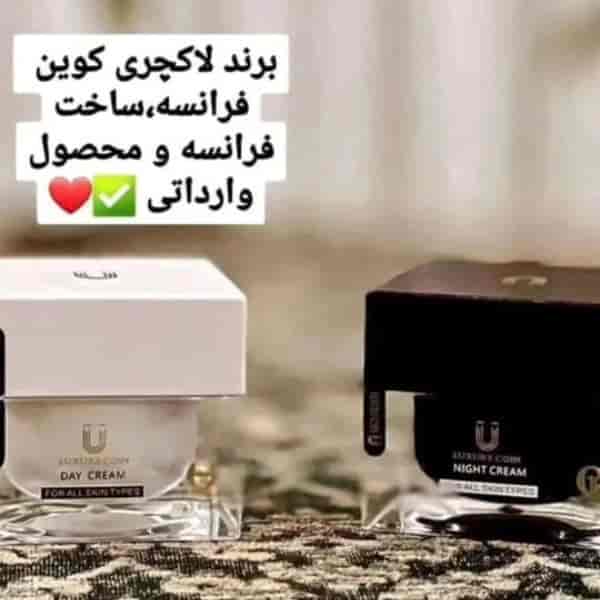 1707036563201.webp