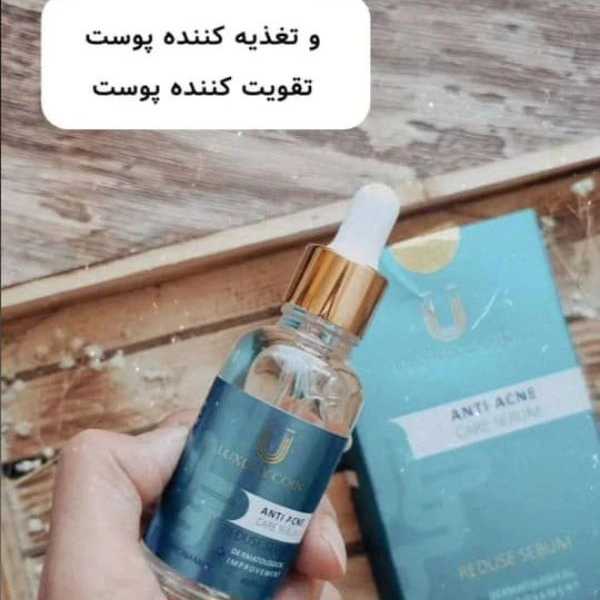 1707036552430.webp
